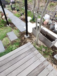 デッキとオリーブの木